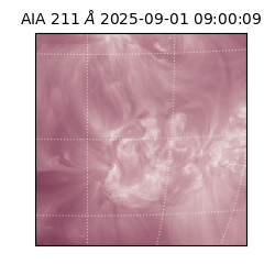saia - 2025-09-01T09:00:09.640000