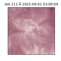 saia - 2025-09-01T03:00:09.630000