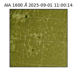 saia - 2025-09-01T11:00:14.125000