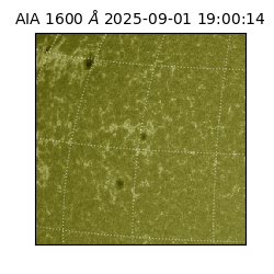 saia - 2025-09-01T19:00:14.126000