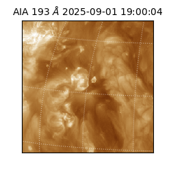 saia - 2025-09-01T19:00:04.843000