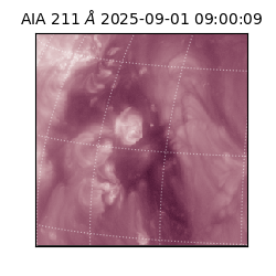 saia - 2025-09-01T09:00:09.640000