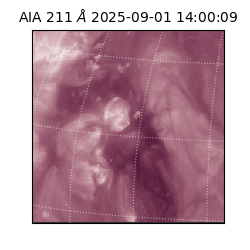 saia - 2025-09-01T14:00:09.626000