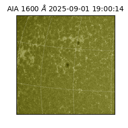 saia - 2025-09-01T19:00:14.126000