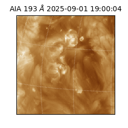 saia - 2025-09-01T19:00:04.843000