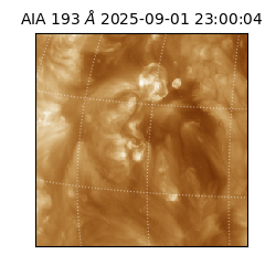 saia - 2025-09-01T23:00:04.843000