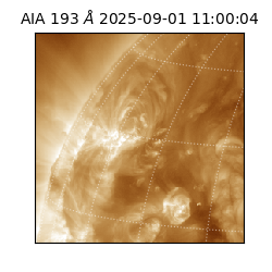 saia - 2025-09-01T11:00:04.842000