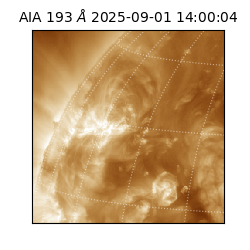 saia - 2025-09-01T14:00:04.843000