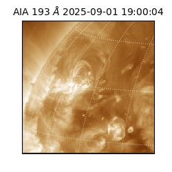 saia - 2025-09-01T19:00:04.843000
