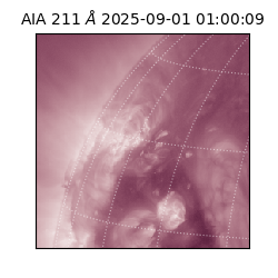 saia - 2025-09-01T01:00:09.632000