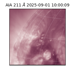 saia - 2025-09-01T10:00:09.632000