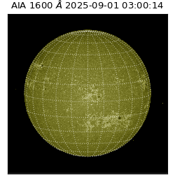 saia - 2025-09-01T03:00:14.125000