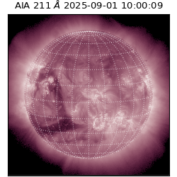 saia - 2025-09-01T10:00:09.632000