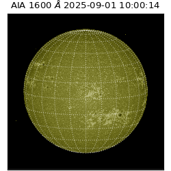saia - 2025-09-01T10:00:14.130000