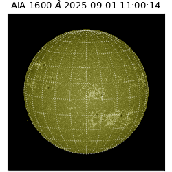 saia - 2025-09-01T11:00:14.125000