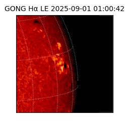 gong - 2025-09-01T01:00:42