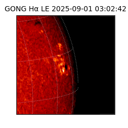 gong - 2025-09-01T03:02:42