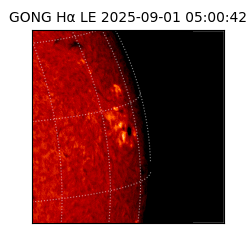 gong - 2025-09-01T05:00:42