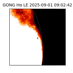gong - 2025-09-01T09:02:42
