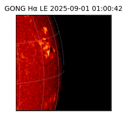 gong - 2025-09-01T01:00:42