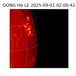 gong - 2025-09-01T02:00:42