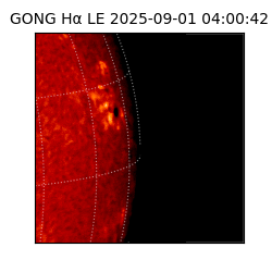 gong - 2025-09-01T04:00:42