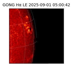 gong - 2025-09-01T05:00:42