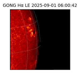gong - 2025-09-01T06:00:42