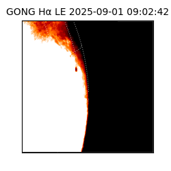 gong - 2025-09-01T09:02:42