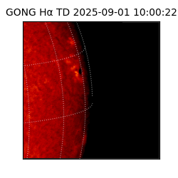 gong - 2025-09-01T10:00:22