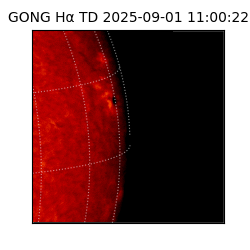 gong - 2025-09-01T11:00:22