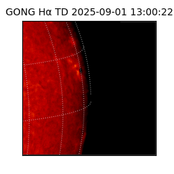 gong - 2025-09-01T13:00:22