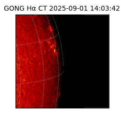 gong - 2025-09-01T14:03:42