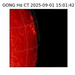 gong - 2025-09-01T15:01:42