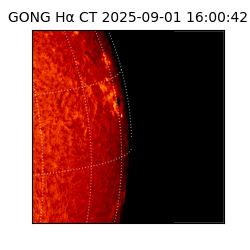 gong - 2025-09-01T16:00:42