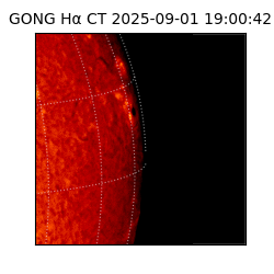 gong - 2025-09-01T19:00:42