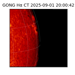 gong - 2025-09-01T20:00:42