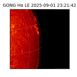 gong - 2025-09-01T23:21:42
