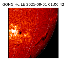 gong - 2025-09-01T01:00:42