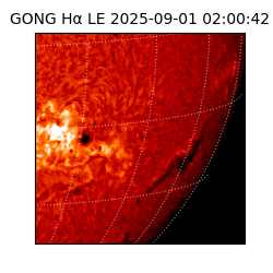 gong - 2025-09-01T02:00:42