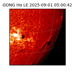 gong - 2025-09-01T05:00:42