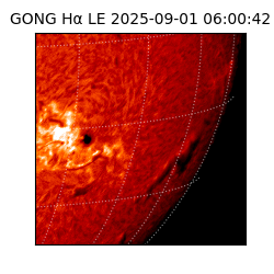 gong - 2025-09-01T06:00:42