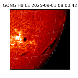 gong - 2025-09-01T08:00:42