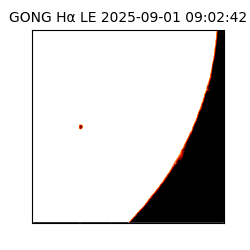 gong - 2025-09-01T09:02:42