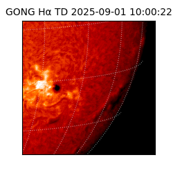 gong - 2025-09-01T10:00:22