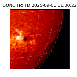 gong - 2025-09-01T11:00:22