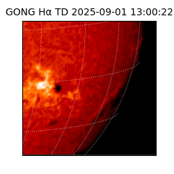 gong - 2025-09-01T13:00:22