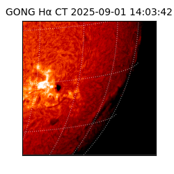 gong - 2025-09-01T14:03:42
