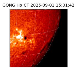 gong - 2025-09-01T15:01:42