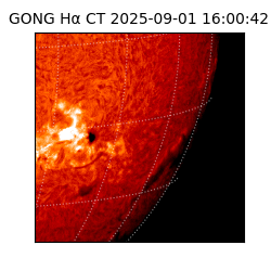 gong - 2025-09-01T16:00:42